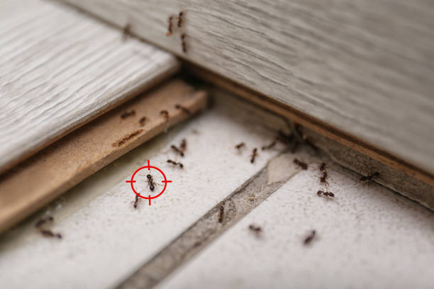 Best Pest Control for Restaurants  in Mayfield Heights, OH