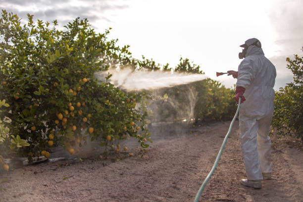 Best Mosquito Control Services  in Mayfield Heights, OH