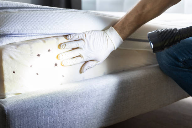 Pest Prevention Services in Mayfield Heights, OH