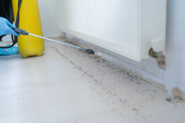 Pest Control for Restaurants in Mayfield Heights, OH